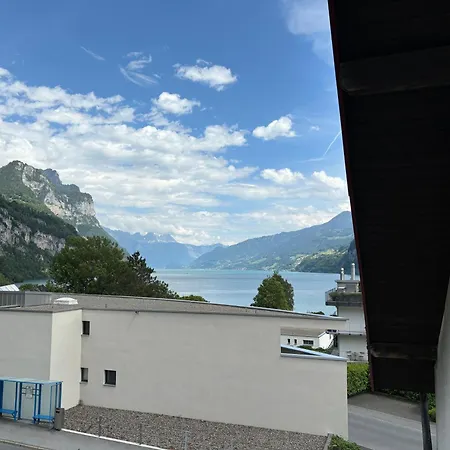 Seestern Walensee Amdenerstrasse *