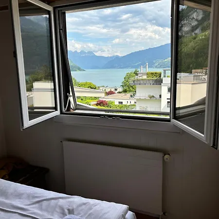 Seestern Walensee Amdenerstrasse